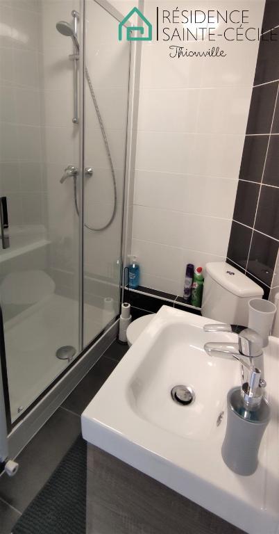 a bathroom with a white sink and a shower at Résidence Sainte-Cécile in Thionville