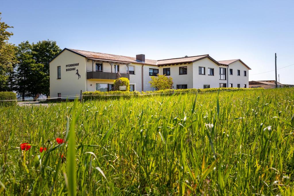 un champ d'herbe avec une maison en arrière-plan dans l'établissement Pferdehof Bischof, à Wertheim