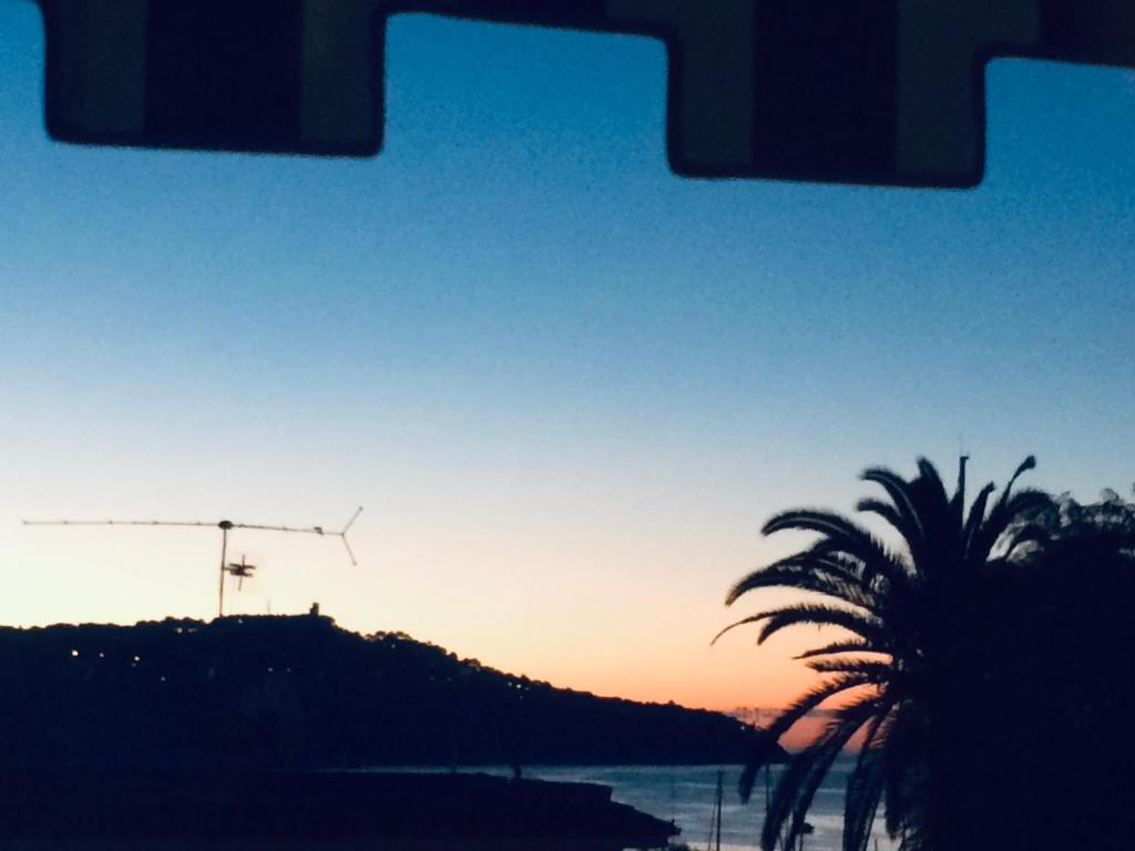 a sunset with a palm tree and a crane at Magnifique appartement proche mer in Villefranche-sur-Mer