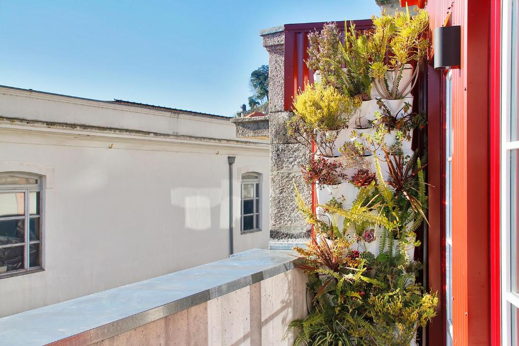 Wonderful Porto Design Apartments - 12