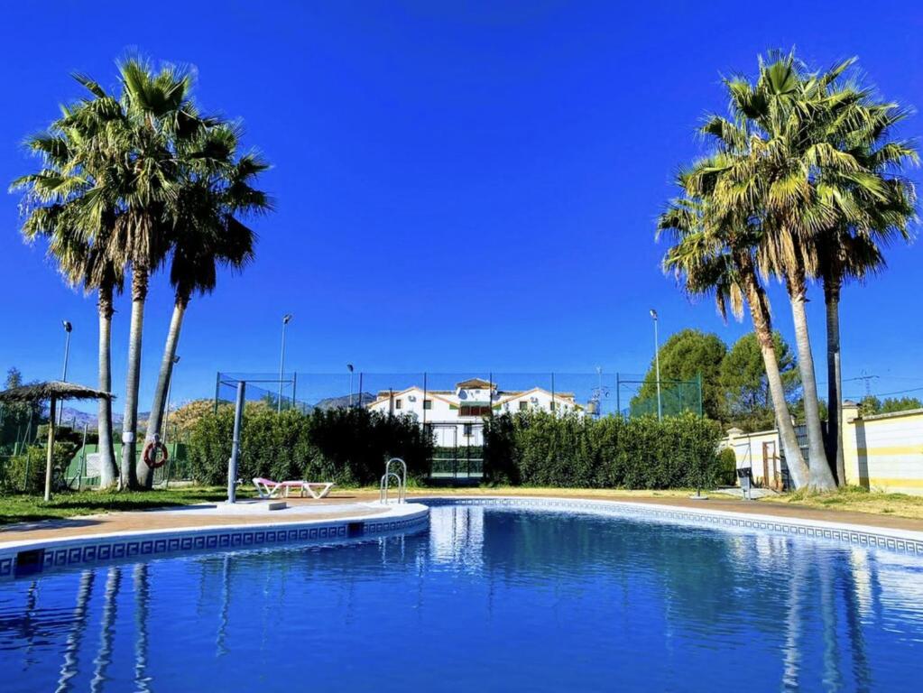 a swimming pool with palm trees in front of a house at Hotel Ronda Valley in Ronda