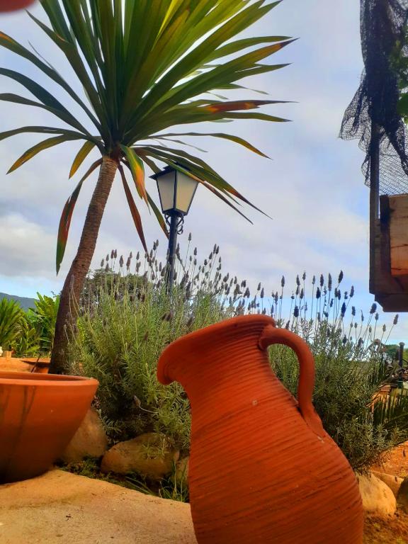 Zahrada ubytování Casa Pedra da Canastra