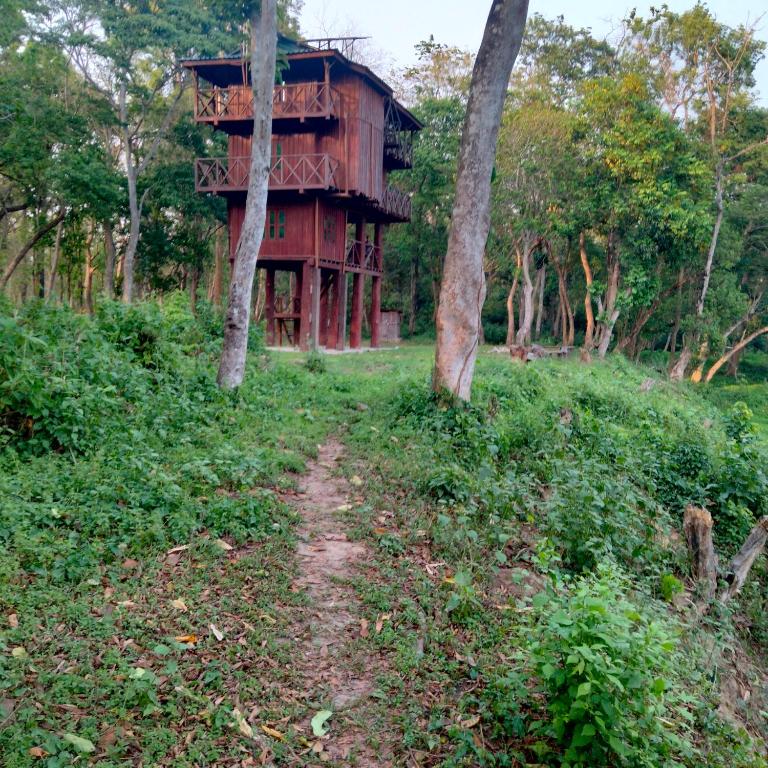 Zahrada ubytování Hotel Tiger Tops Sauraha