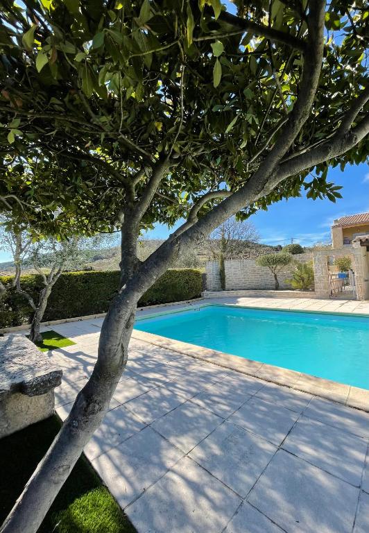 un arbre en face d'une piscine dans l'établissement La Bastide Saint Jacques, à Vinsobres