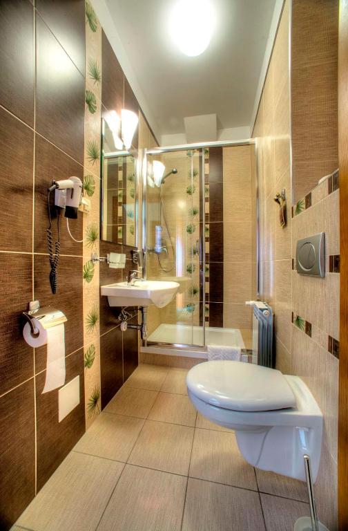 Hotel Carpatia Bieszczadzki Gościniec - 17