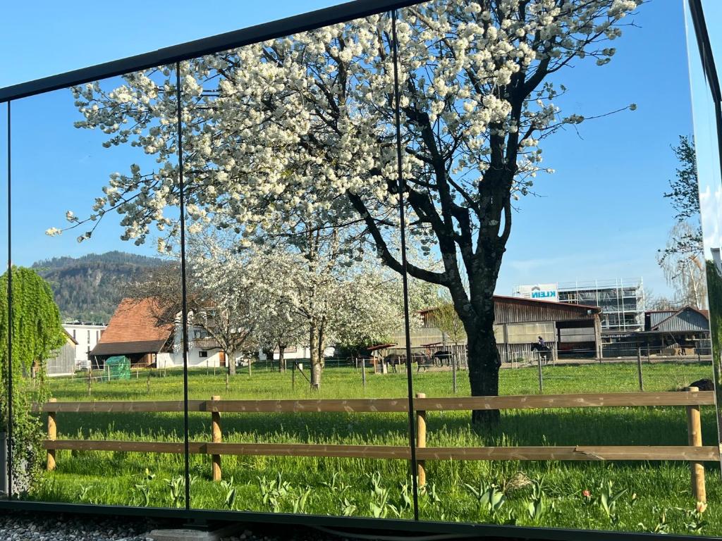 ein Fenster mit Blick auf einen Baum und ein Feld in der Unterkunft Natur Pur & Erlebnisurlaub im Spiegelhaus ÖÖD in Lauterach