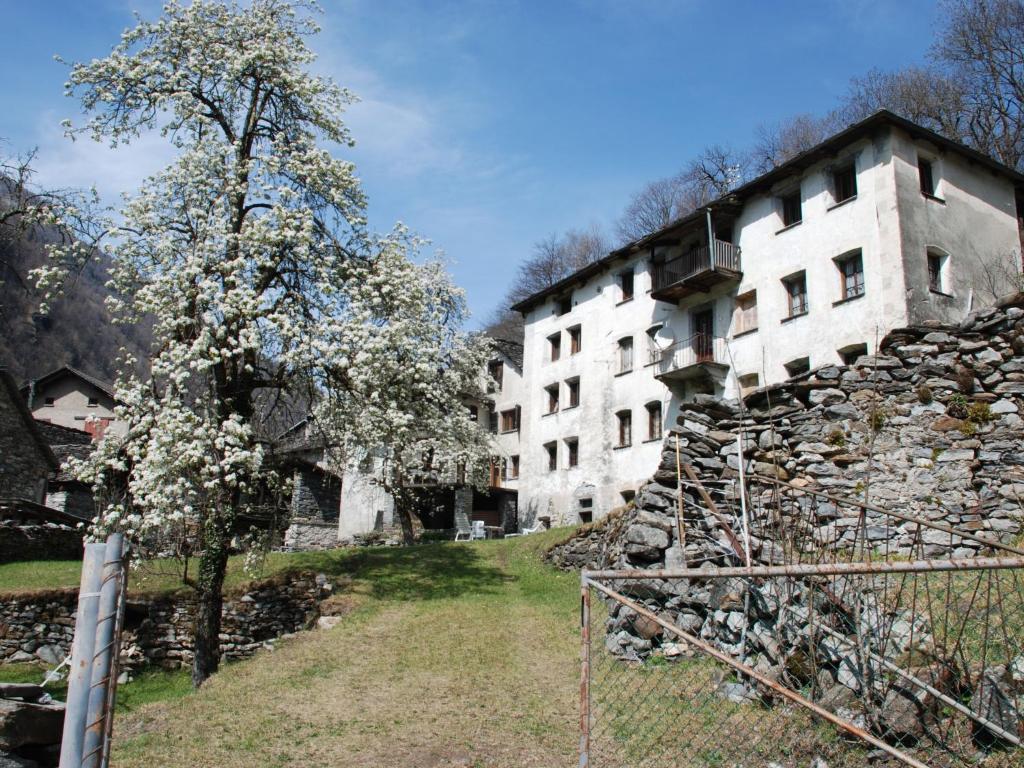 Holiday Home Casa Signorile by Interhome في Peccia: مبنى حجري قديم و شجرة بالورود البيضاء