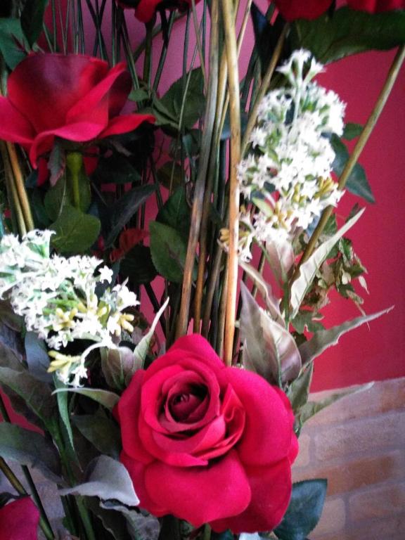 Fotografie z fotogalerie ubytování Rosa Roja v destinaci El Barraco