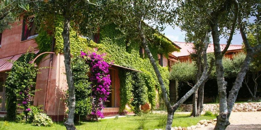 Zahrada ubytování L'Isola Di Rosa - Relais & Hotel di Charme