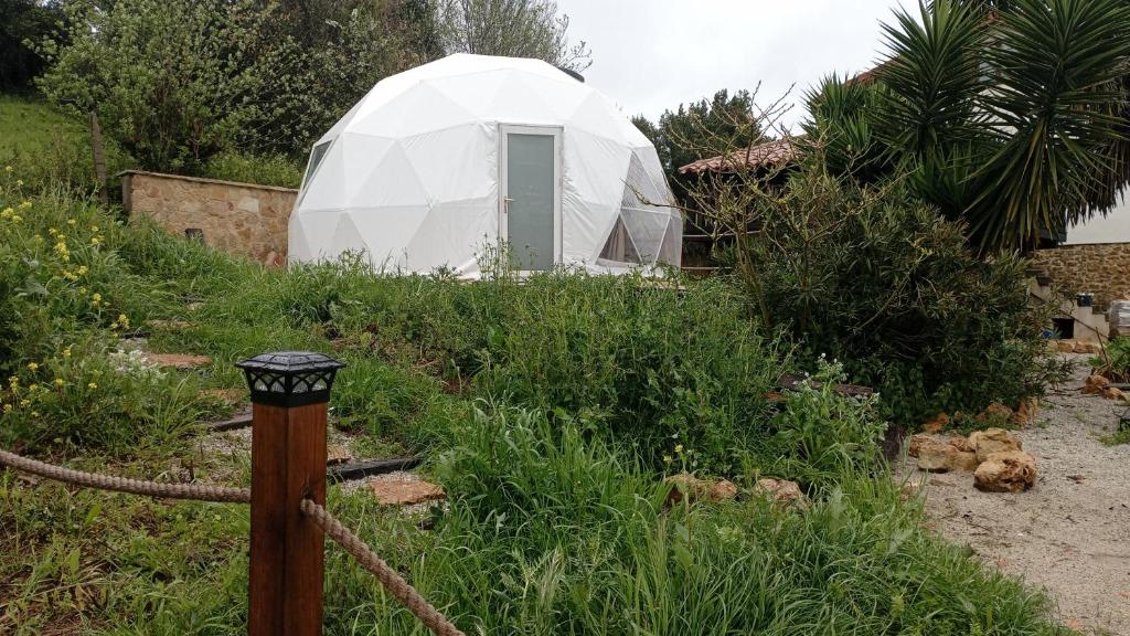Zahrada ubytování Glamping Quintana
