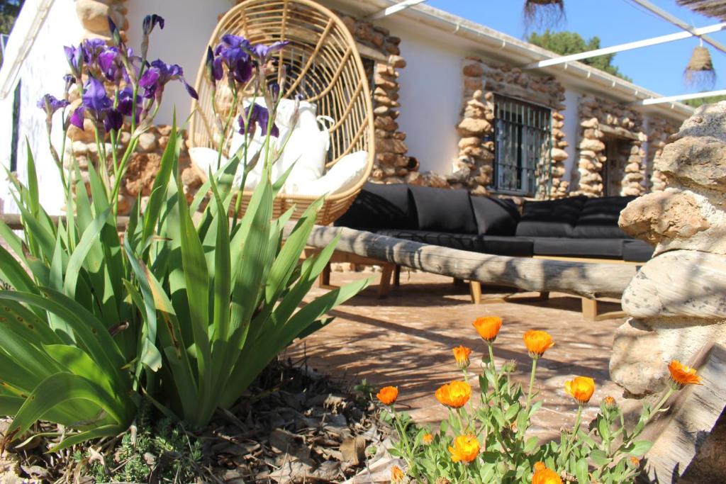 A garden outside Esencia Lodge - luxurious off-grid cabin retreat