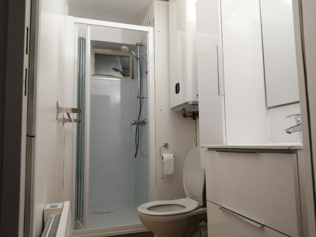 a small bathroom with a toilet and a shower at Studio avec balcon et vue sur le Sancy in Le Mont-Dore