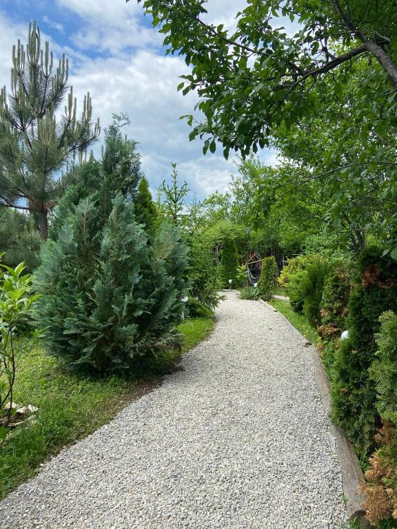Zahrada ubytování Grădina de Vară “La Cristian”
