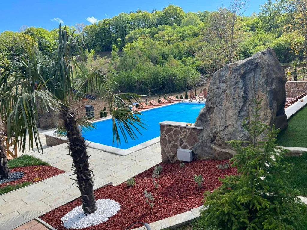 a swimming pool with a palm tree and a rock at Apartmani Joka in Vrdnik
