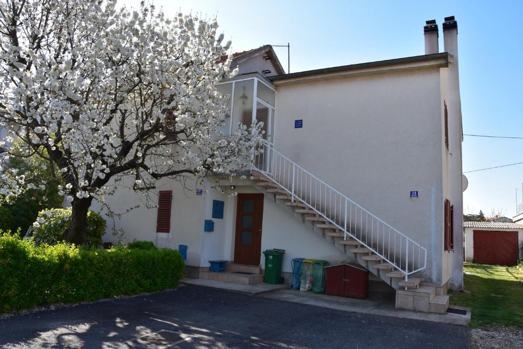 un bâtiment blanc avec un escalier à côté d'un arbre dans l'établissement Apartman Miki, à Fažana