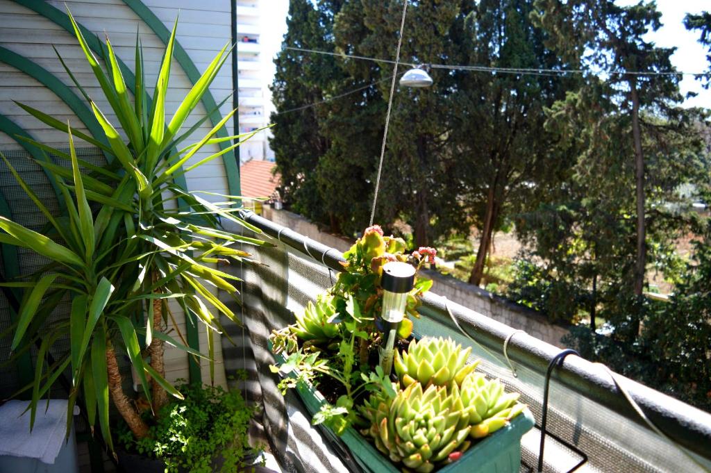 Vonkajšia záhrada v ubytovaní Spacious Apartment Center