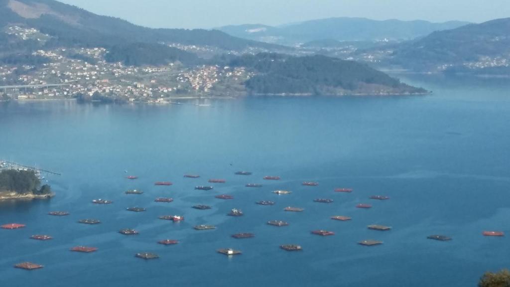 Albergue A ROTONDA - 11