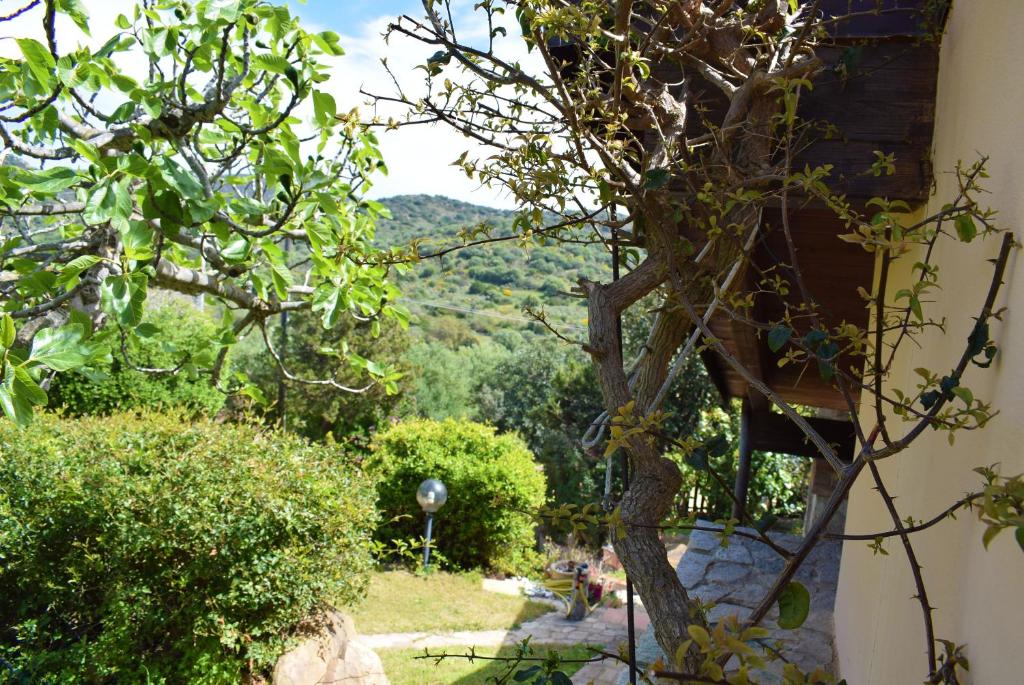 Táj a villa közelében