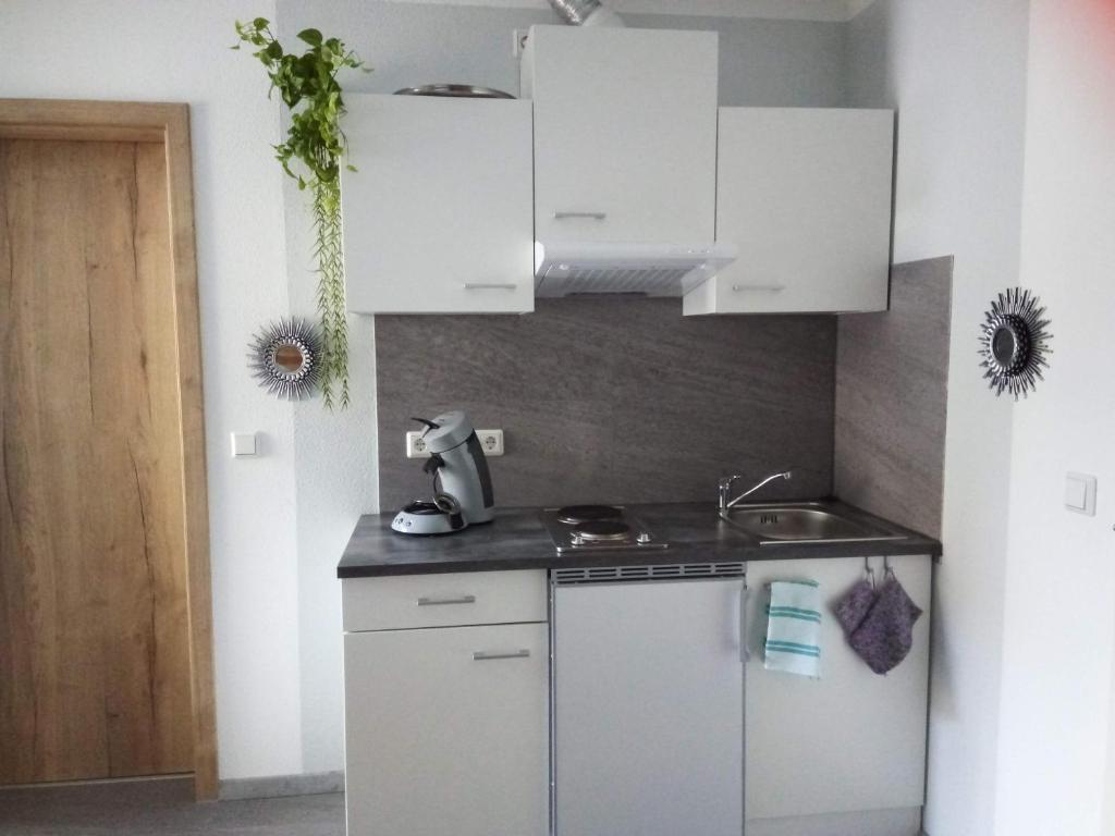 Kuchyň nebo kuchyňský kout v ubytování Kleines Nest