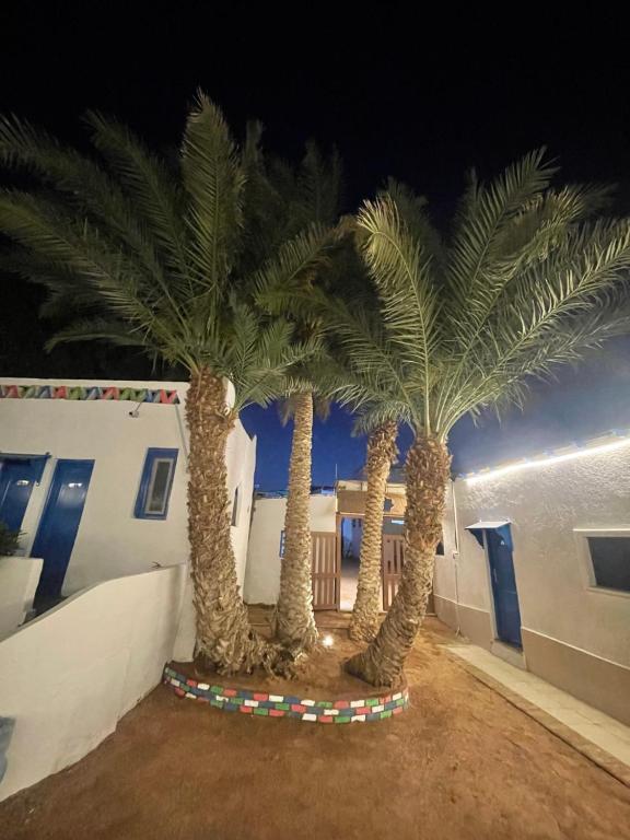 Fotografie z fotogalerie ubytování Auski Hostel Dahab v destinaci Dahab