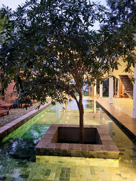 Arachchi Heritage - 14