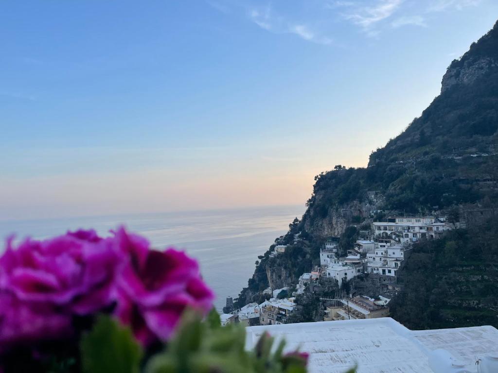 a purple flower sitting on the side of a mountain at Hostel Brikette in Positano