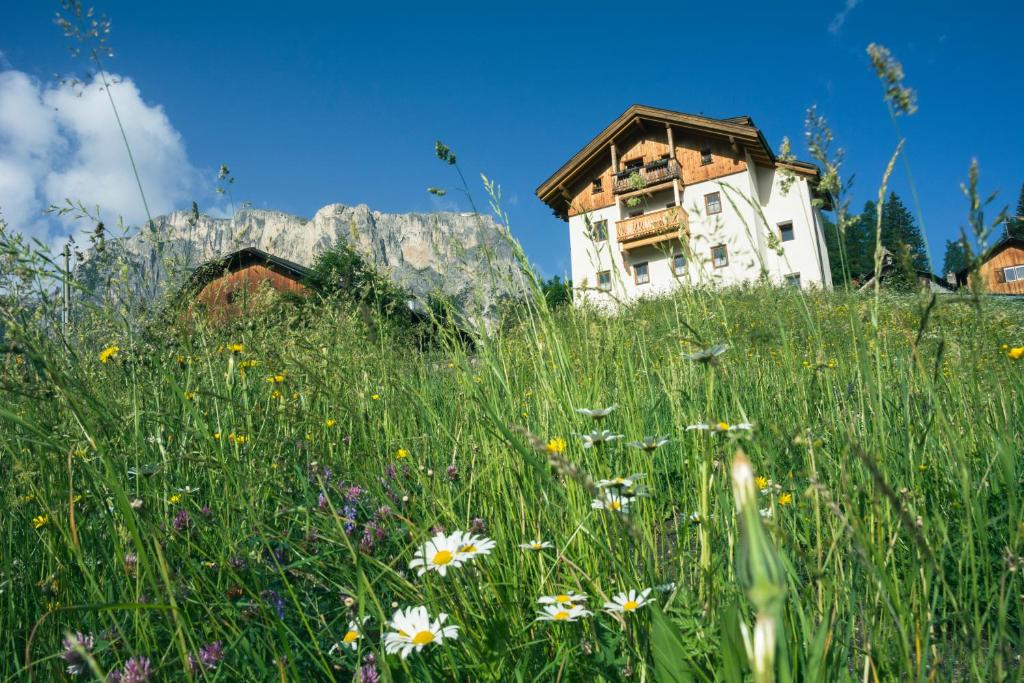 una casa vieja en una colina con un campo de flores en Appartamenti Sotgherdena en Badia