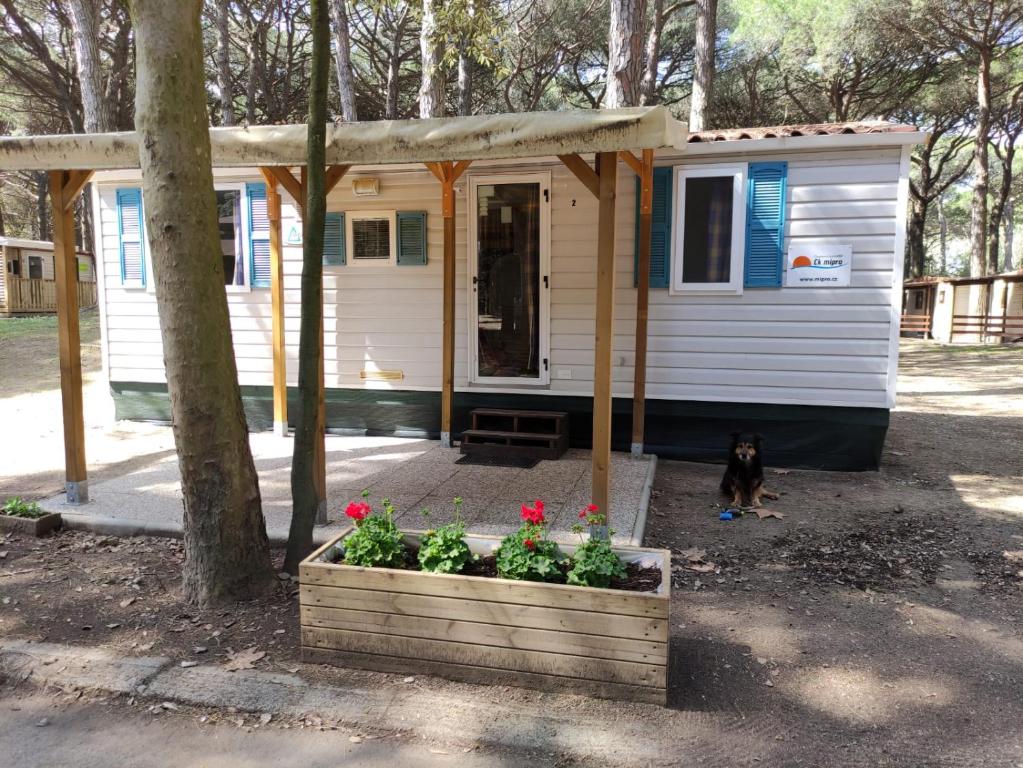 a dog is standing in front of a tiny house at Mipro Mobilhome 5 in Lido di Spina
