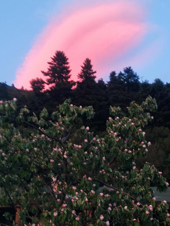 oneiropagidasuites - 14