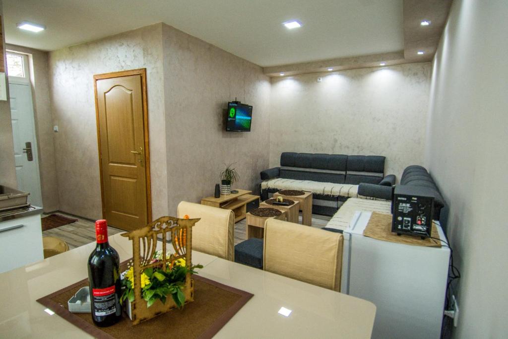 a small room with a kitchen and a living room at Apartman Trijumf in Bajina Bašta