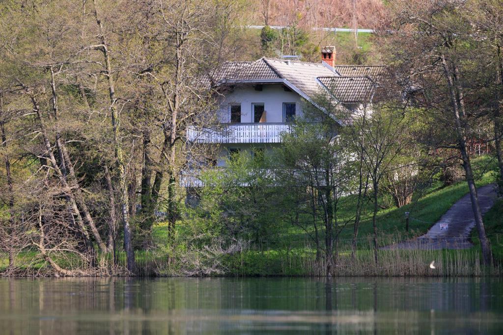Příroda nedaleko apartmánu