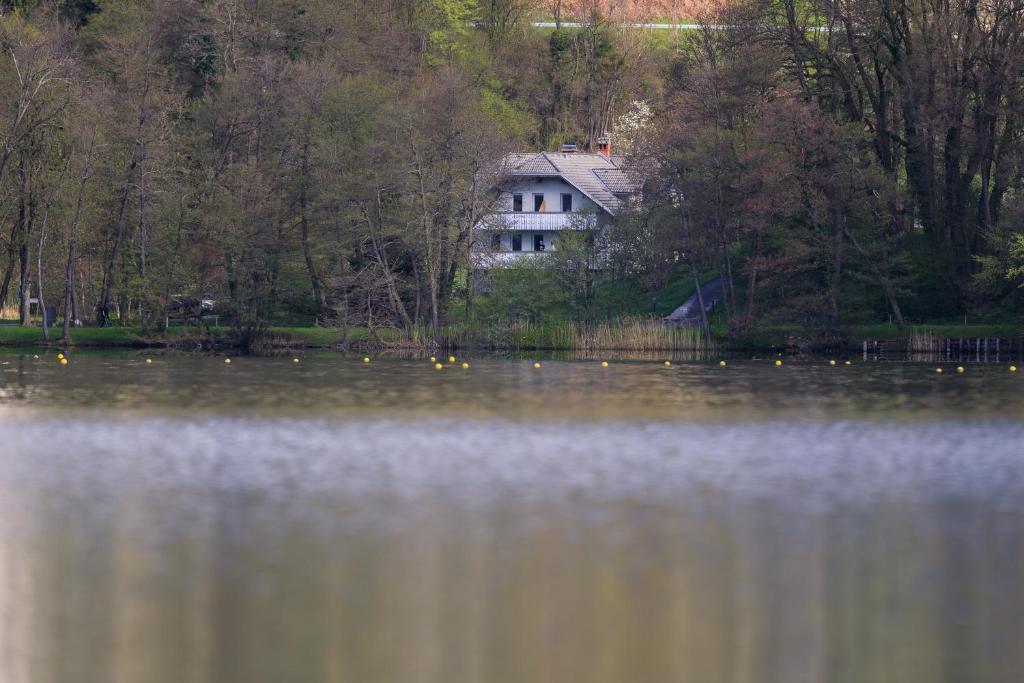 Příroda nedaleko apartmánu
