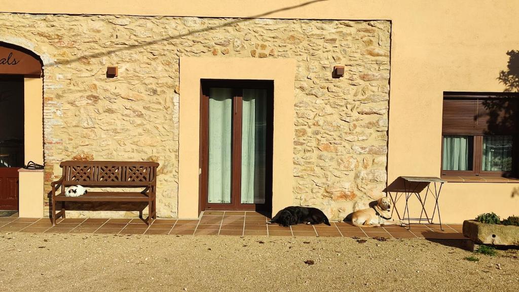 Fotografie z fotogalerie ubytování Can Costals Olivo v destinaci Pals