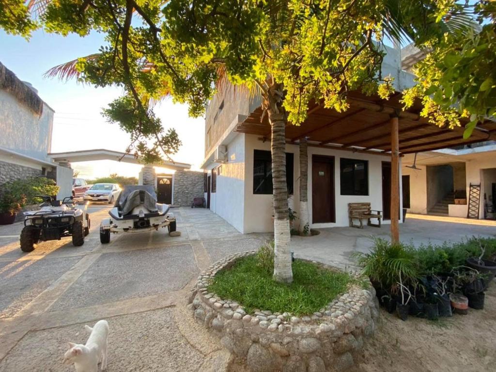 un arbre devant un bâtiment avec une voiture garée dans l'établissement Villa Paraíso, à La Ventana