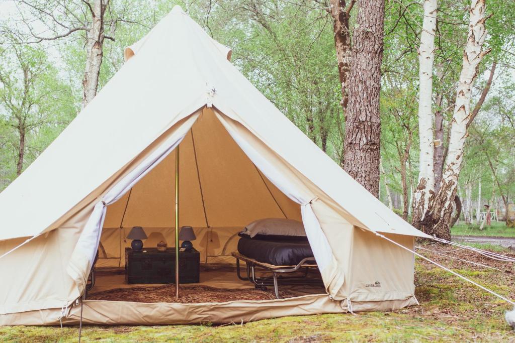 Fotografie z fotogalerie ubytování Le repère du pin sec - Glamping & Surfcamp v destinaci Naujac-sur-Mer