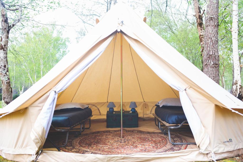 Fotografie z fotogalerie ubytování Le repère du pin sec - Glamping & Surfcamp v destinaci Naujac-sur-Mer