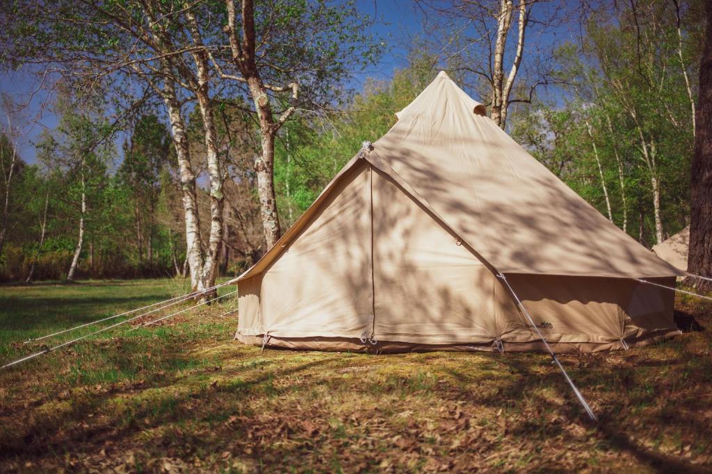 Fotografie z fotogalerie ubytování Le repère du pin sec - Glamping & Surfcamp v destinaci Naujac-sur-Mer