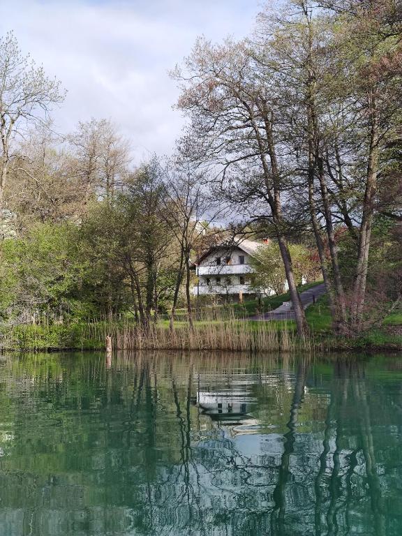 Příroda nedaleko apartmánu