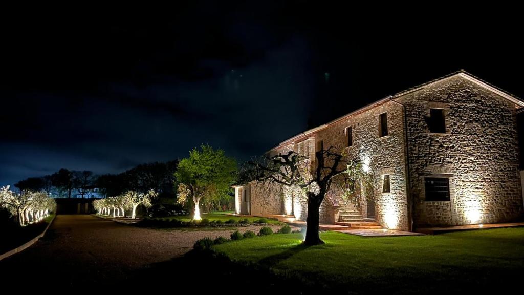 een kerk 's nachts met een boom in de tuin bij Opera Domini Asisium in Torchiagina