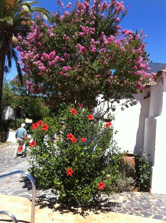 Jardín al aire libre en La Caldera Vieja