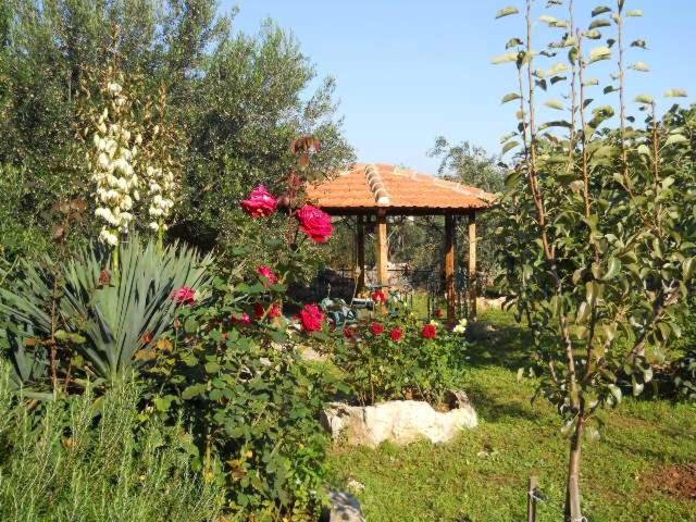 un jardin avec un kiosque et des roses dans l'établissement Apartments Branimir, à Zadar