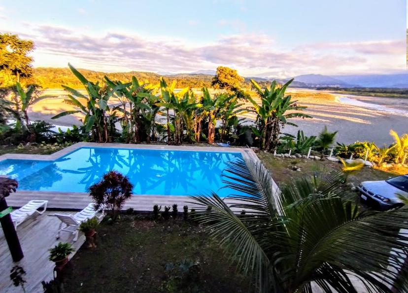 a swimming pool with palm trees and a body of water at Hotel Puerto Selva in Villa Tunari