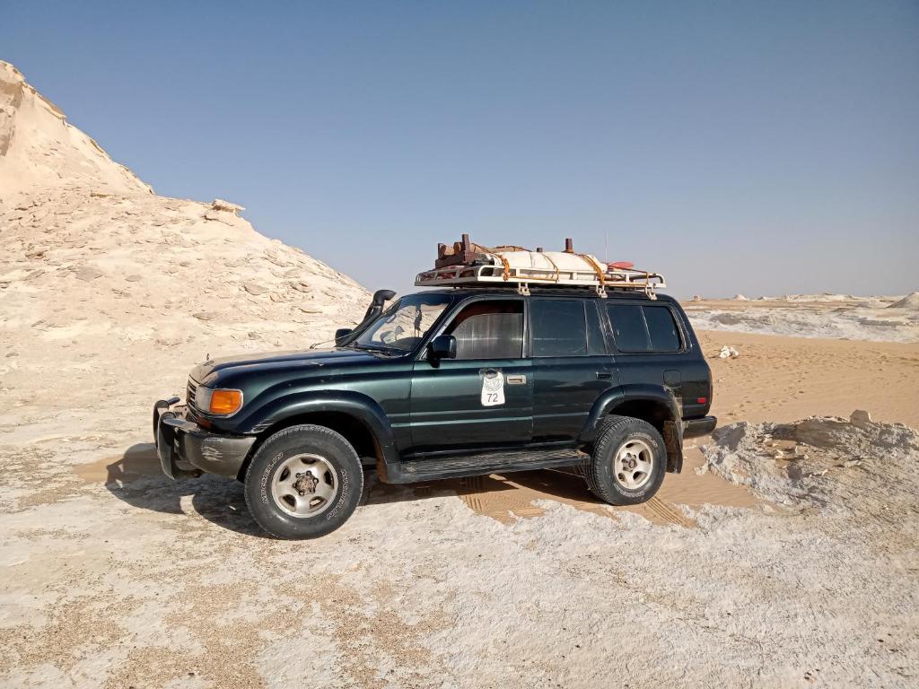 Oasis Safari Tours - Housity
