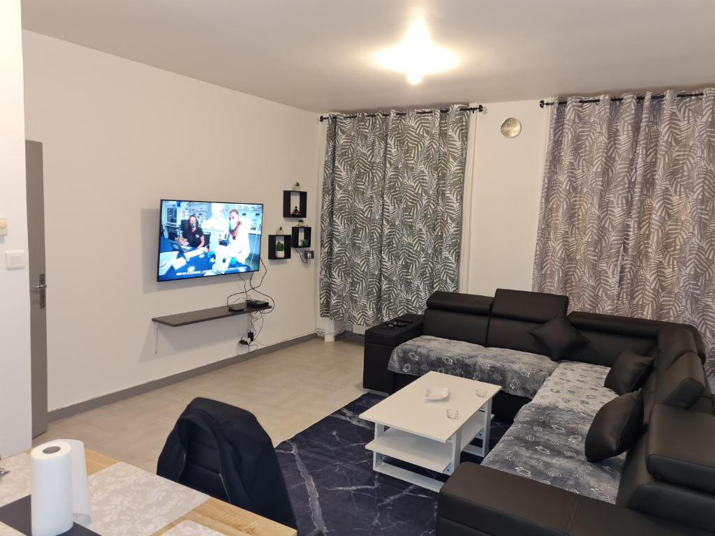 un salon avec un canapé et une télévision dans l'établissement Appartement t2 calme spacieux Saint-Étienne bellevue, à Saint Etienne