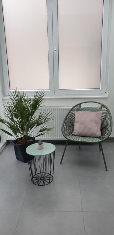 
a table with a plant and a chair in front of it at Apartment Villa Ksenija in Ostend
