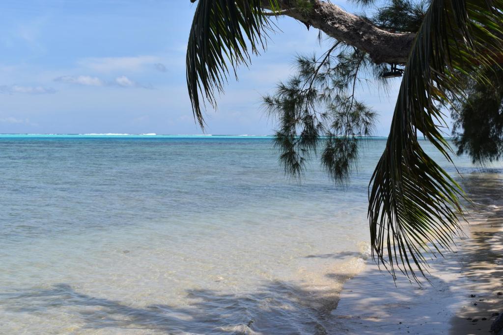 a beach with a palm tree and the ocean at Fare Aute Beach in Vaianae