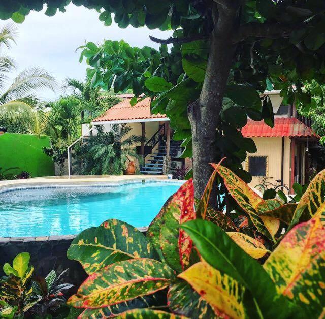 a swimming pool in front of a house with plants at Beautiful Second Story Apartment 202 Next to Playa Flamingo in Playa Flamingo