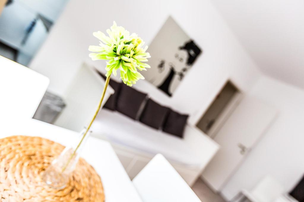 Cityfair Apartments Köln - Apartment