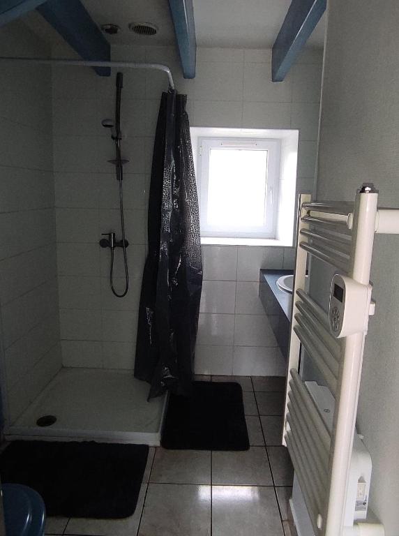 a small bathroom with a shower and a window at Le gîte de ty stumo1 in Neulliac