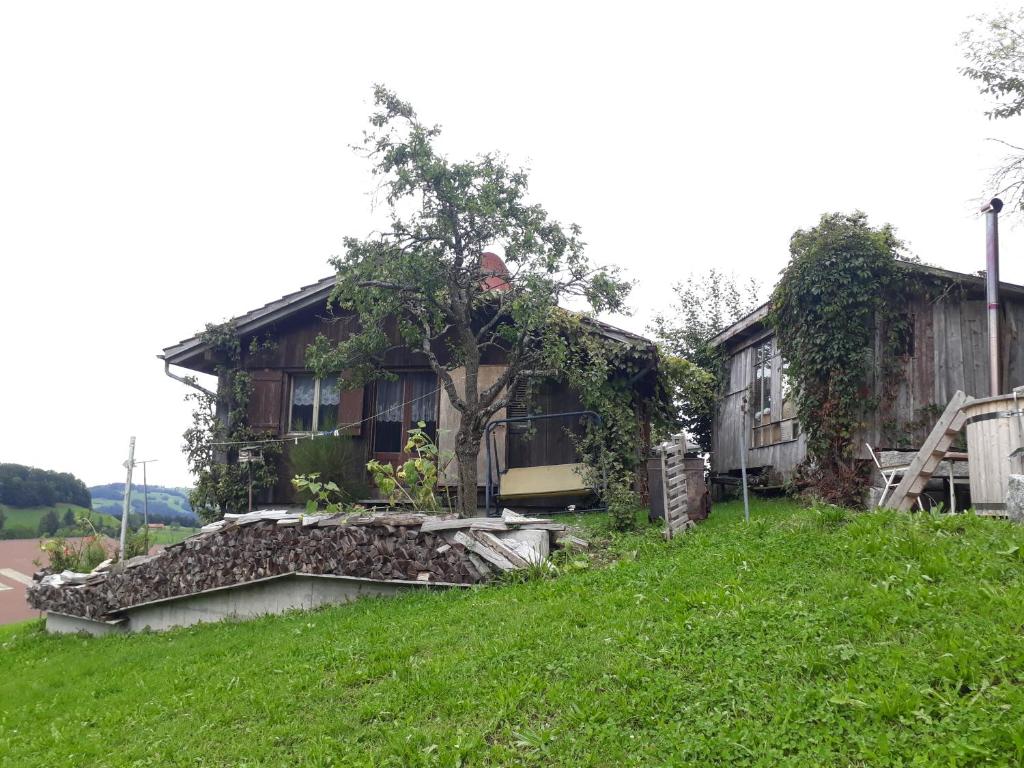 Ferienhaus im Grünen
